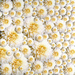 Cropped_75_6972996620_a69e8b58a5