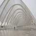 Cropped_75_1_the_20post_20olympic_20city