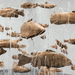 Cropped_75_fishes
