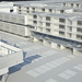 Cropped_75_image_205