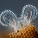 Cropped_75_2011-1-large