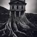 Cropped_75_jerry-uelsmann_tree_house1