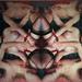 Cropped_75_photo0