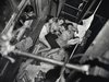 Cropped_100_weegee_20heatspell_201938
