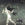 Cropped_25_14757