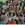 Cropped_25_14754