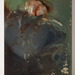 Cropped_75_2_elizabeth_20tinglof