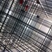 Cropped_75_web
