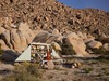 Cropped_100_az_jenniferwagonstation_popup
