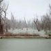 Cropped_75_a_pca_003_03_swampandpipeline_flat4