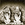 Cropped_25_14705