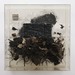 Cropped_75_ld_20134dsmall