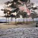 Cropped_75_sarahannejohnsonblacksmoke