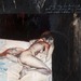 Cropped_75_the_20lovers