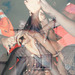 Cropped_75_peter_front