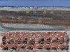 Cropped_100_artschwagerh04_800