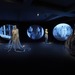Cropped_75_lin_20tianmiao_20installation_10