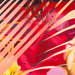 Cropped_75_rosenquist
