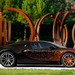 Cropped_75_abc_dsc3767