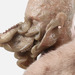 Cropped_75_janmanski2