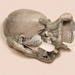 Cropped_75_janmanski5