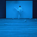 Cropped_75__mg_9399_cropped
