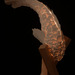 Cropped_75_gehry02