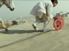 Cropped_100_alys_reelunreel-600x337