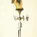Cropped_75_exquisite_20corpse