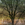 Cropped_25_14583