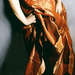 Cropped_75_84359-8902756-7