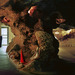 Cropped_75_carlsband-caverns-nm