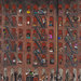 Cropped_75_7_-wong_la-vida_769
