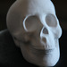 Cropped_75_dmg_lh_skull1_web