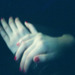Cropped_75_2