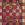Cropped_25_14547