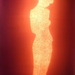 Cropped_75_cb1