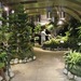 Cropped_75_butterflyconservatory20