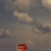 Cropped_75_37014_01