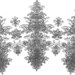 Cropped_75_trinity