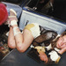 Cropped_75_mb11