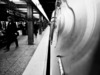 Cropped_100_steady_3