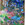 Cropped_25_14507