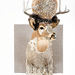Cropped_75_pappa