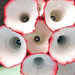 Cropped_75_paper_productions_1