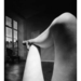 Cropped_75_prp