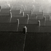 Cropped_75_slk5