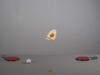 Cropped_100_69_pingpong