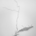 Cropped_75_49730_lin_v01