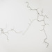 Cropped_75_56524_lin